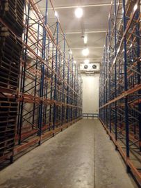 Cold Room Minus 25 Degree Industrial Pallet Racks , Pallet Size 1200 X 1000mm