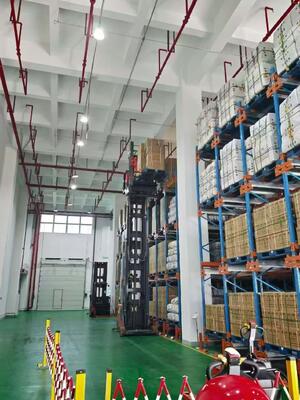 Buy China Pallet Shuttle Racking System Manufacturer | Customized High Density Warehouse Storage System online manufacture